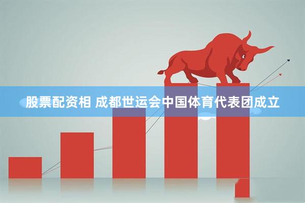 股票配资相 成都世运会中国体育代表团成立